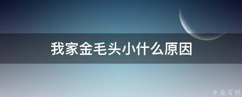 我家金毛头小什么原因 