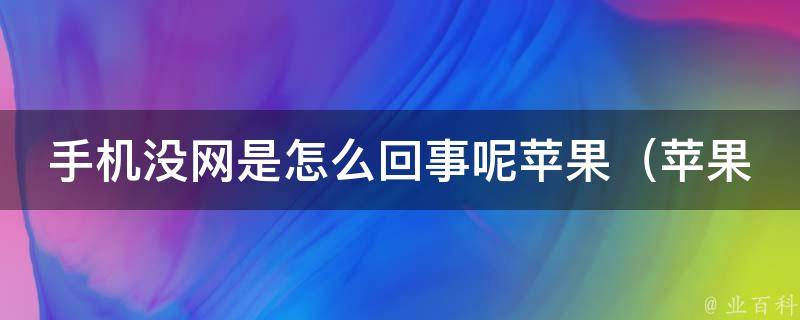 手机没网是怎么回事呢苹果（苹果手机无法连接网络的解决方法）