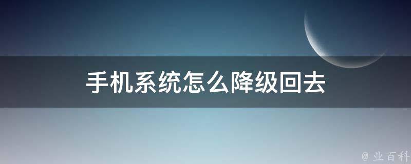 手机系统怎么降级回去 