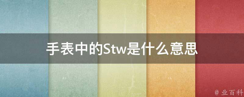 手表中的Stw是什么意思 