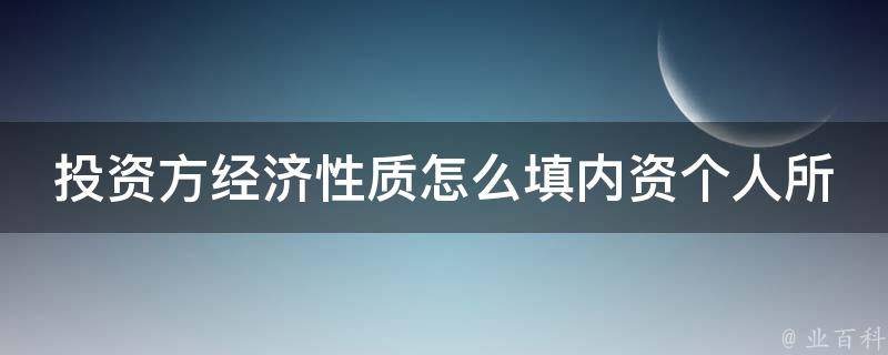 投资方经济性质怎么填内资个人所得税_详解内资个人所得税填报方式及注意事项。