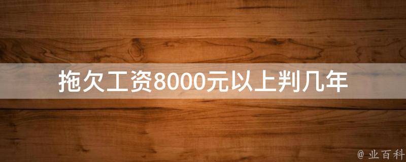 拖欠工资8000元以上判几年(违法行为的惩罚力度)