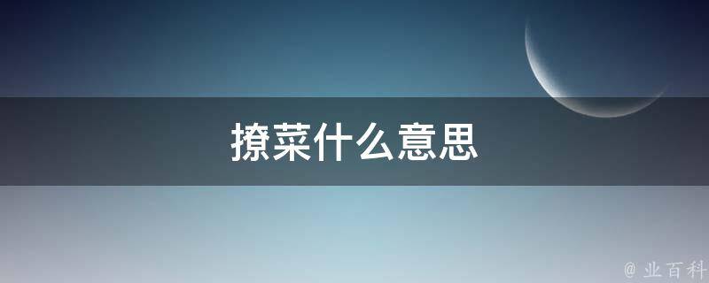 撩菜什么意思 