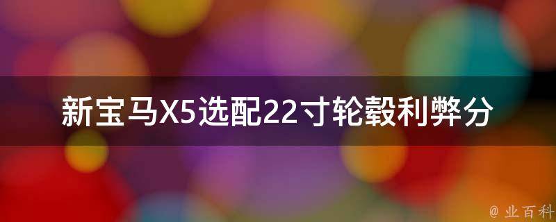 新宝马X5选配22寸轮毂利弊分析（专业评测+车主真实反馈）