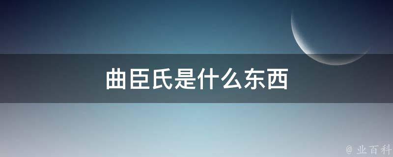 曲臣氏是什么东西 