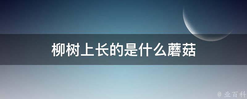 柳树上长的是什么蘑菇 