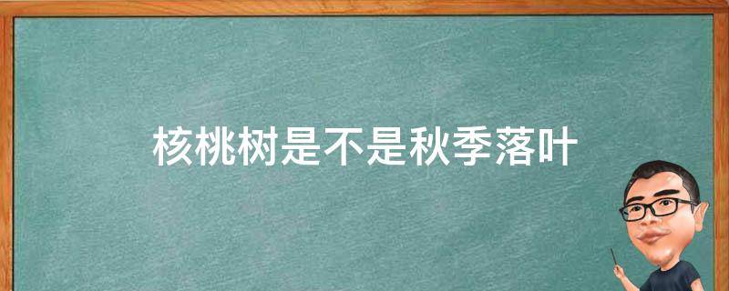 核桃树是不是秋季落叶 