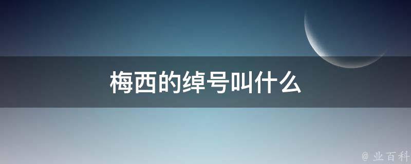 梅西的绰号叫什么 