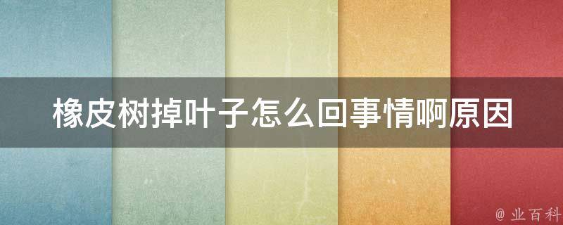 橡皮树掉叶子怎么回事情啊_原因分析+防治措施