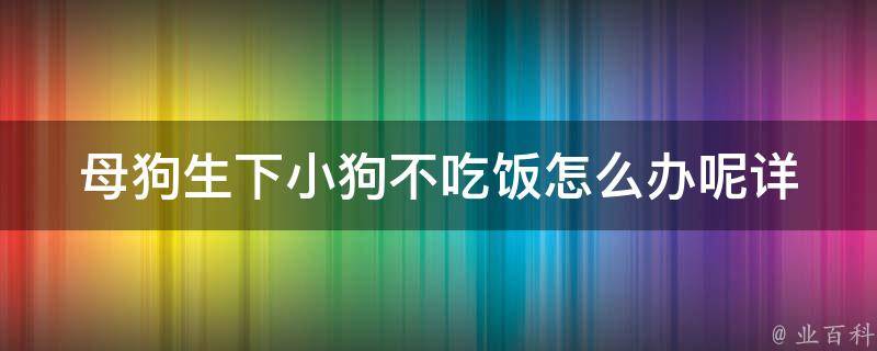 母狗生下小狗不吃饭怎么办呢_详解新手必备的喂养技巧。