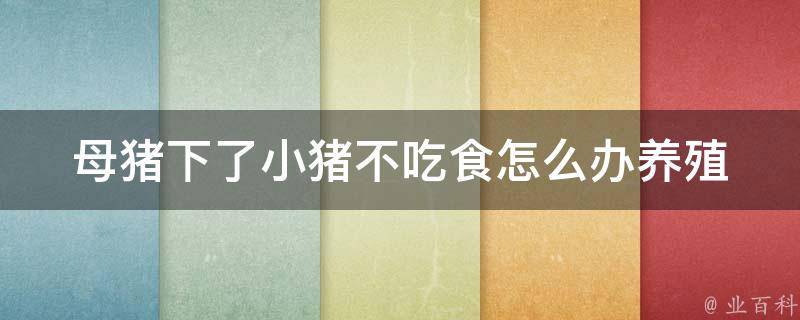 母猪下了小猪不吃食怎么办_养殖专家教你解决母猪不喂小猪的问题。