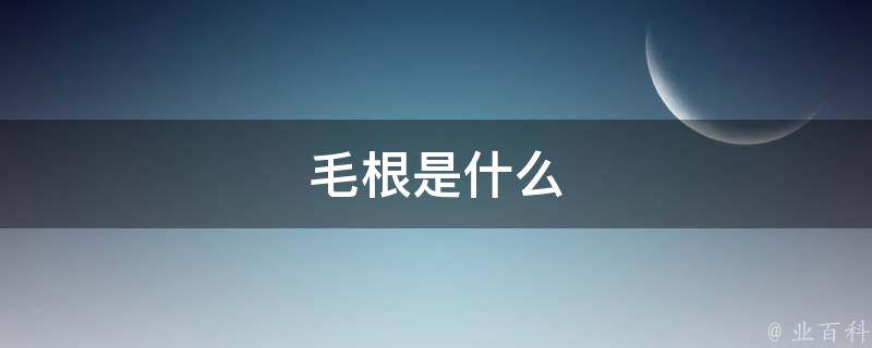 毛根是什么 热备资讯