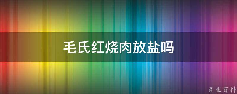 毛氏红烧肉放盐吗 