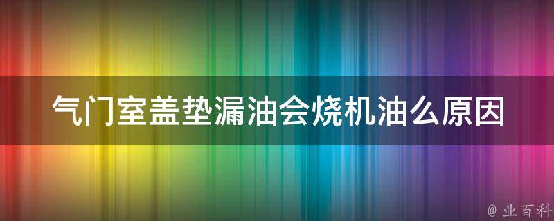 气门室盖垫漏油会烧机油么_原因分析及解决方法