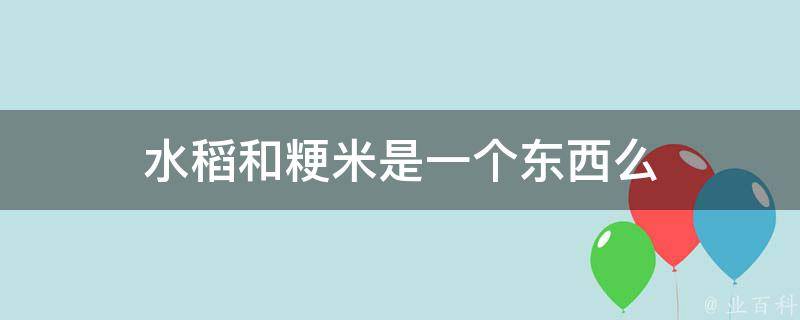 水稻和粳米是一个东西么 