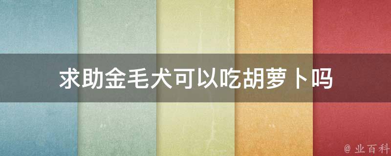 求助金毛犬可以吃胡萝卜吗 