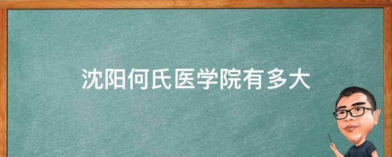 沈阳何氏医学院有多大 