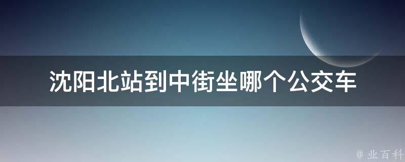 沈阳北站到中街坐哪个公交车 