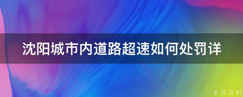 沈阳城市内道路**如何处罚(详解交通违法行为处理)