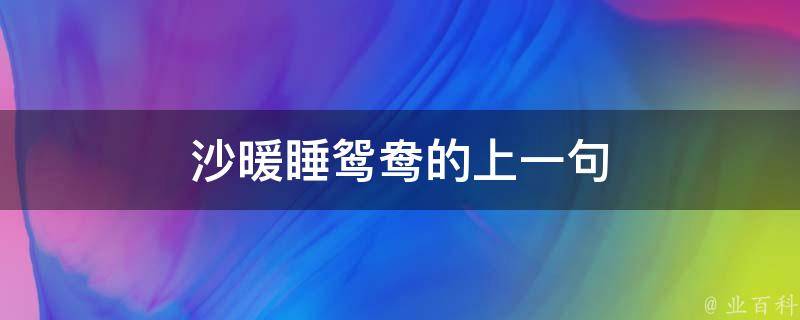 沙暖睡鸳鸯的上一句 