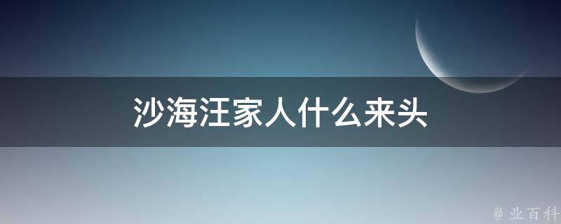 沙海汪家人什么来头 