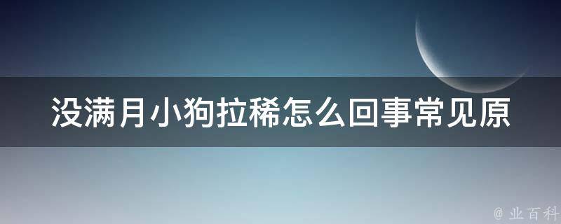 没满月小狗拉稀怎么回事_常见原因及应对方法