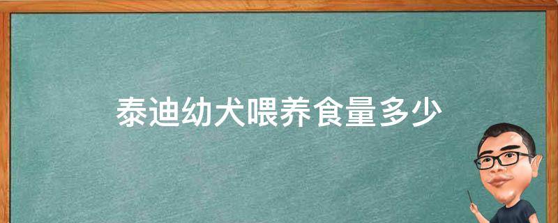 泰迪幼犬喂养食量多少 