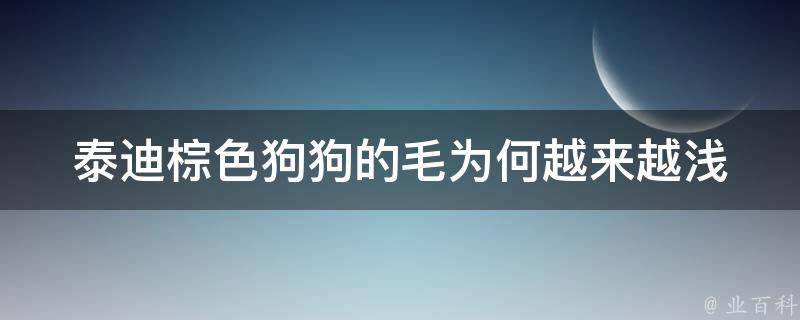 泰迪棕色狗狗的毛为何越来越浅 