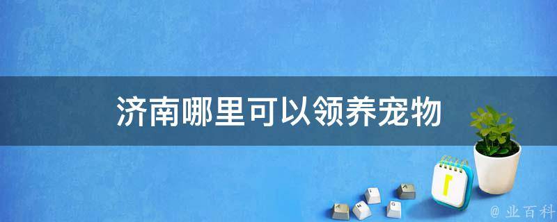 济南哪里可以领养宠物 