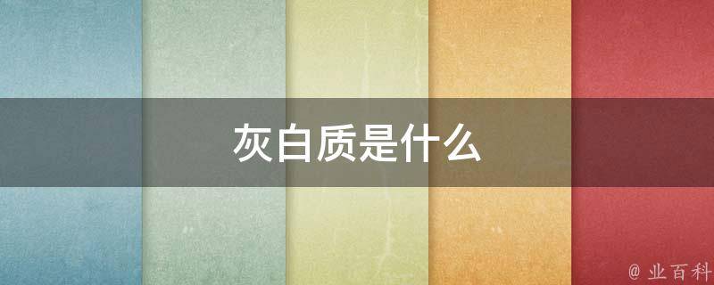 灰白质是什么 