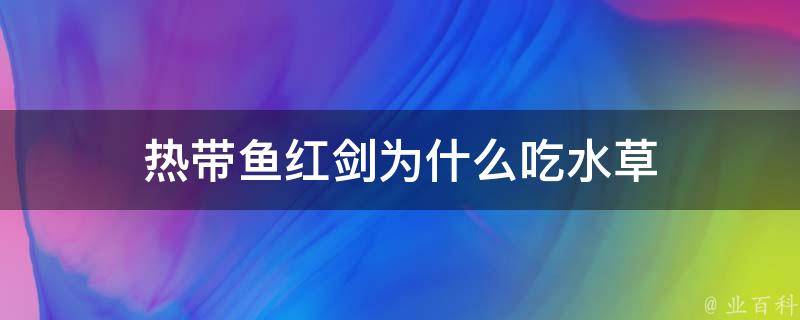 热带鱼红剑为什么吃水草 