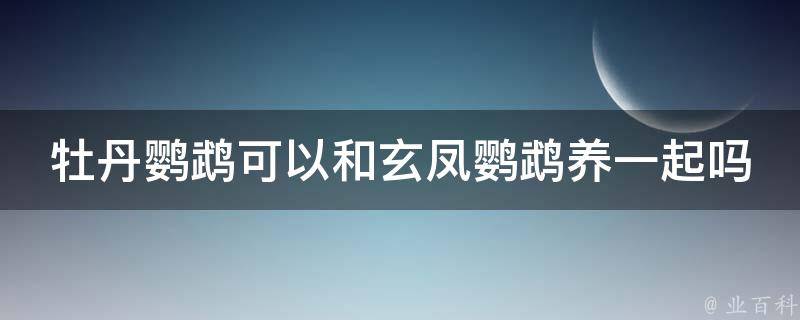 牡丹鹦鹉可以和玄凤鹦鹉养一起吗 