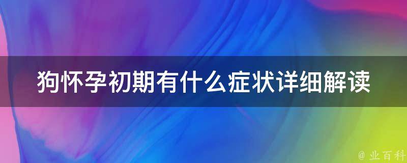 狗怀孕初期有什么症状_详细解读狗狗怀孕初期的表现和注意事项