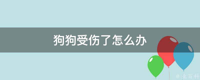 狗狗受伤了怎么办 