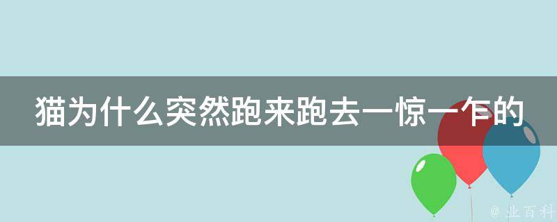 猫为什么突然跑来跑去一惊一乍的 