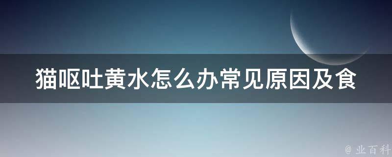 猫呕吐黄水怎么办_常见原因及食疗方案