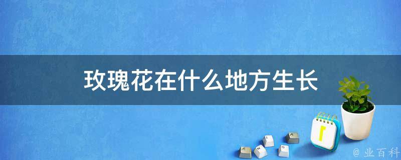 玫瑰花在什么地方生长 