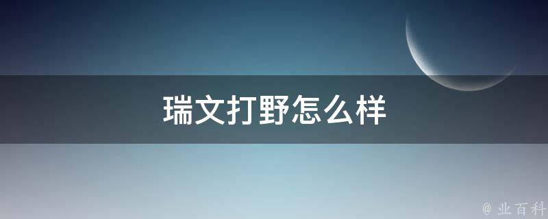 瑞文打野怎么样 