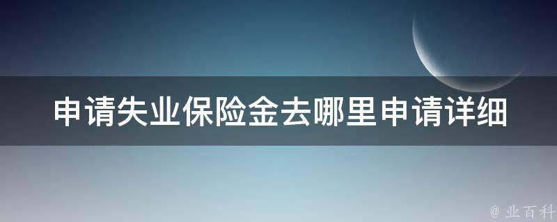 申请失业保险金去哪里申请(详细指南)