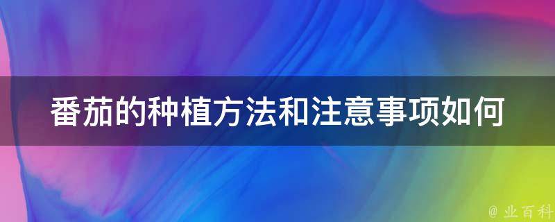 番茄的种植方法和注意事项(如何让你的番茄更健康生长)