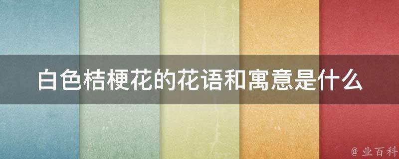 白色桔梗花的花语和寓意是什么_解读白色桔梗花的象征意义和传说故事