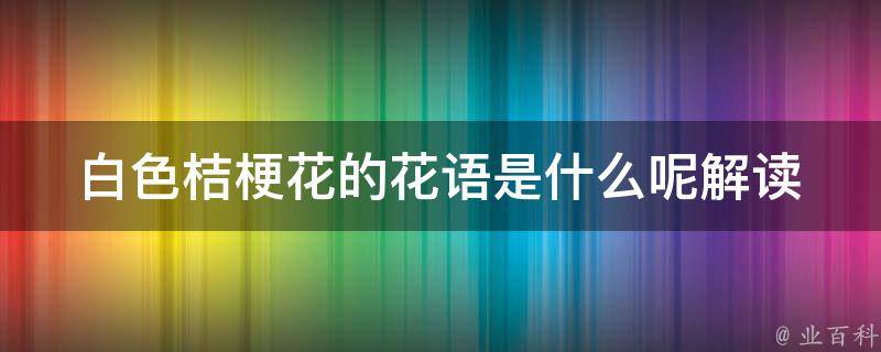 白色桔梗花的花语是什么呢_解读白色桔梗花的七种花语