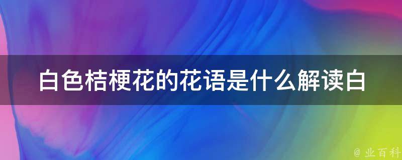 白色桔梗花的花语是什么_解读白色桔梗花的五种含义