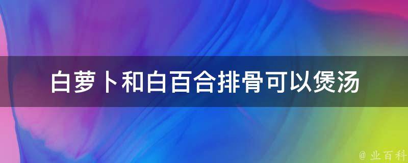 白萝卜和白百合排骨可以煲汤 