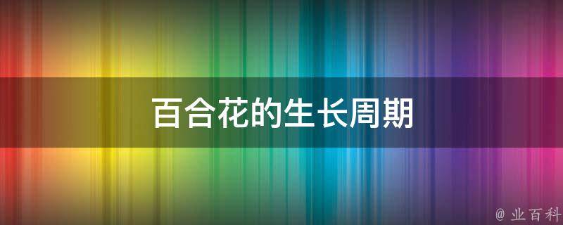 百合花的生长周期 