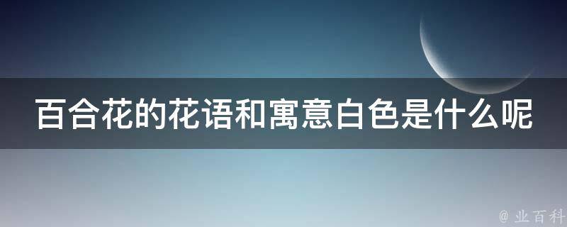 百合花的花语和寓意白色是什么呢