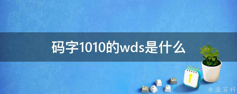 码字1010的wds是什么