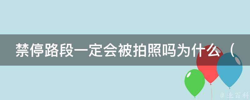 禁停路段一定会被拍照吗为什么（揭秘禁停路段拍照机制与违章罚款细节）