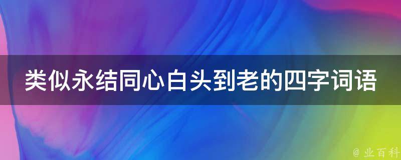 类似永结同心白头到老的四字词语 