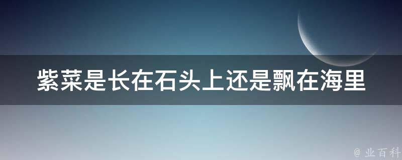 紫菜是长在石头上还是飘在海里 